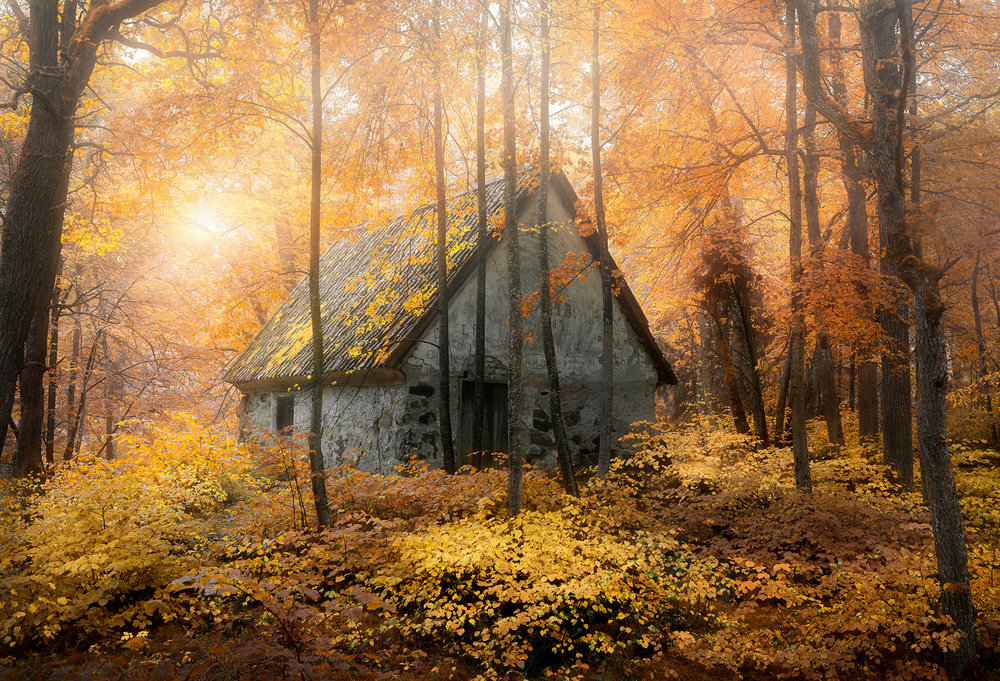 House in the forest during fallseason from Christian Lindsten