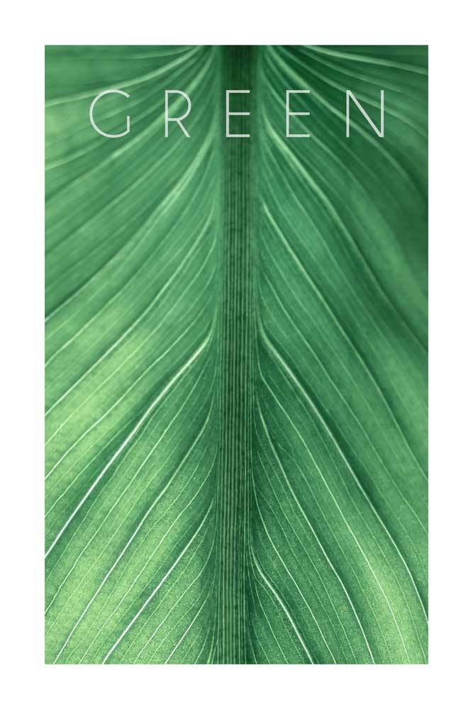Green 03 from Christian Müringer