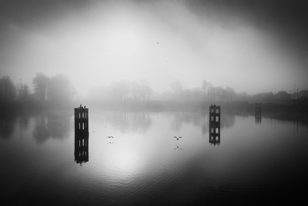 In the misty morning from Christophe Staelens