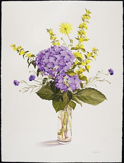 Blue Hydrangea with Yellow Loosestrife (w/c)  from Christopher  Ryland