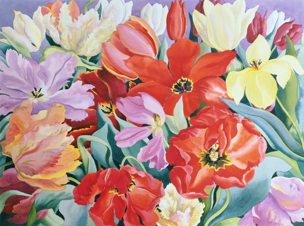 Massed Tulips from Christopher  Ryland