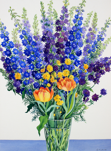 Larkspur and Delphiniums from Christopher  Ryland