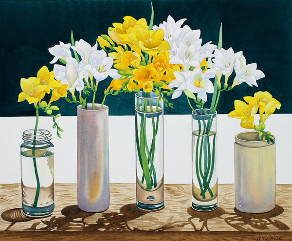 Still Life Freesias from Christopher  Ryland