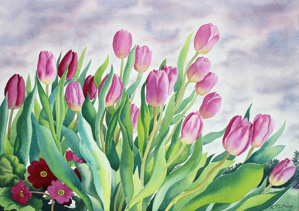 Tulips by Window from Christopher  Ryland