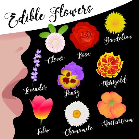 Edible Flowers