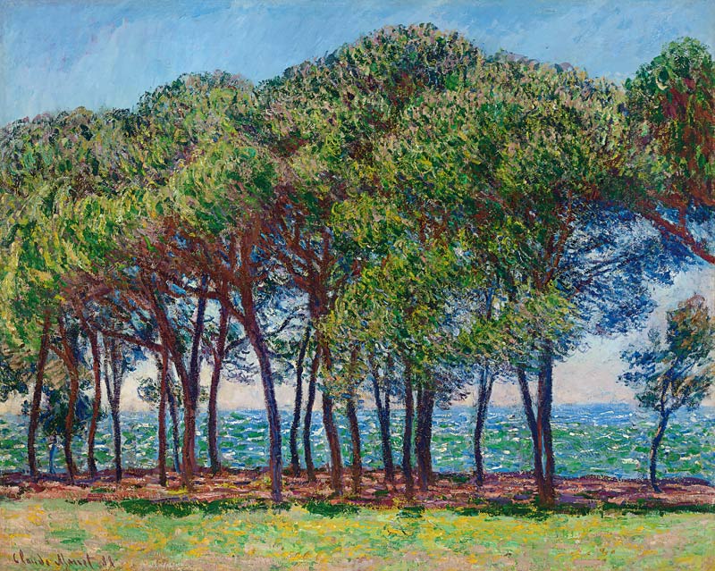 Kiefern am Cap d'Antibes from Claude Monet