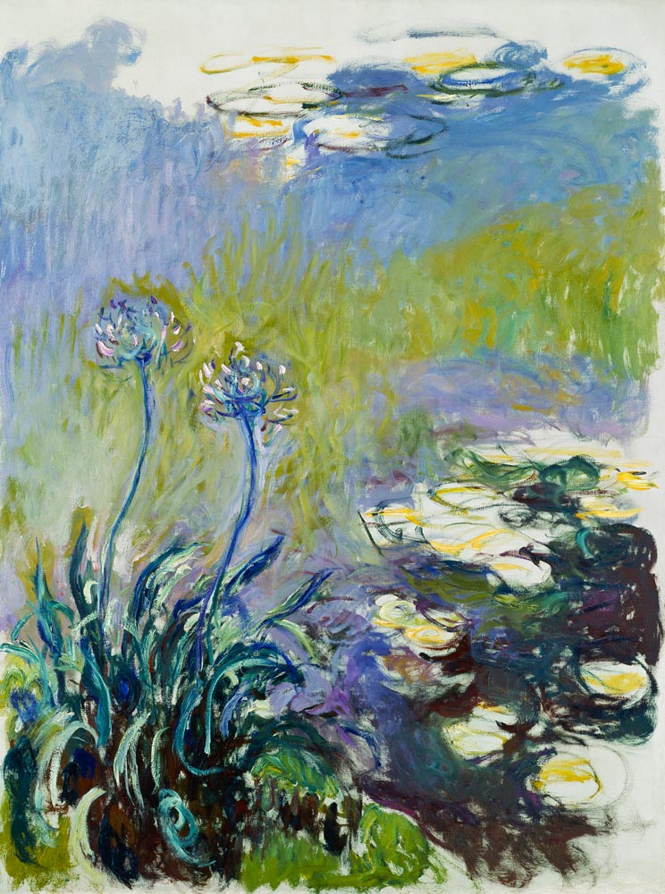 The Agapanthus from Claude Monet