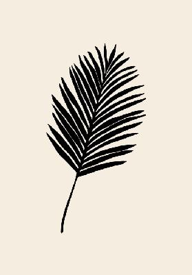 Black Palm