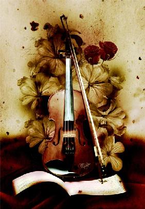 Violon