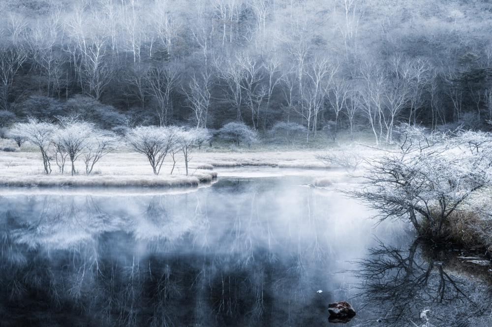 The frozen pond from Daiki Suzuki