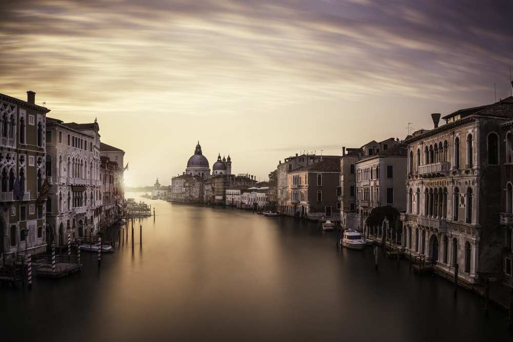Venice from Dan Muntean