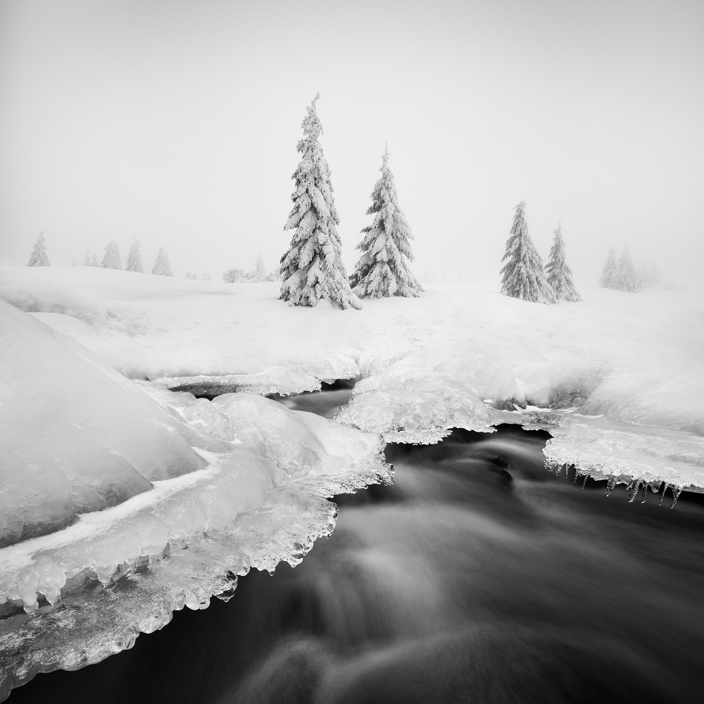 Ice creek... from Daniel Rericha