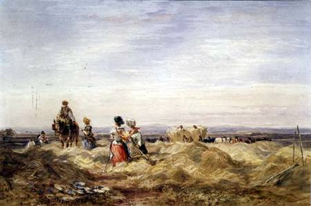 In the Hayfield from David Cox