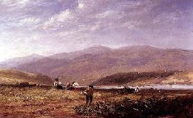 Haymakers in a Welsh Landscape