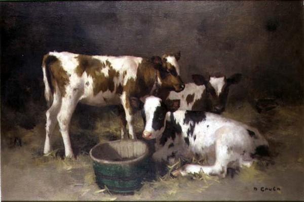 Three Calves (oil on canvas) from David Gauld