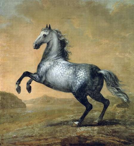 The Little Englishman 's Horse from David Klocker Ehrenstrahl