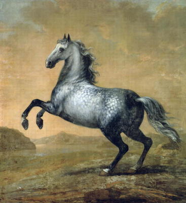 The Little Englishman, King Karl XI (1655-97)'s Horse (oil on canvas) from David Klocker Ehrenstrahl