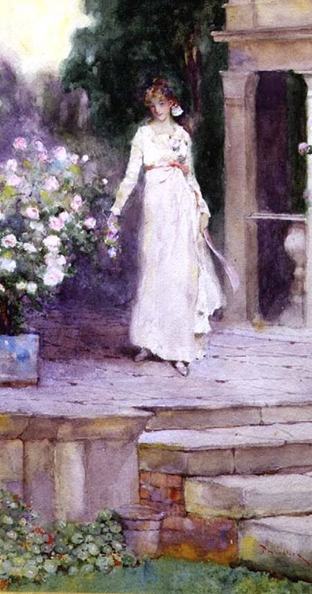 Lady on the Rose Terrace from David Woodlock