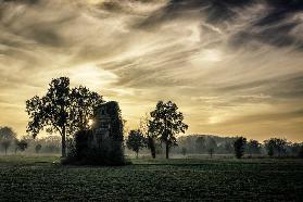 Old abandoned house covered by vegetation at sunset