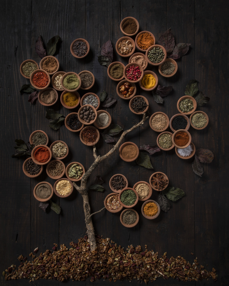 Tree of spice from Diana Popescu