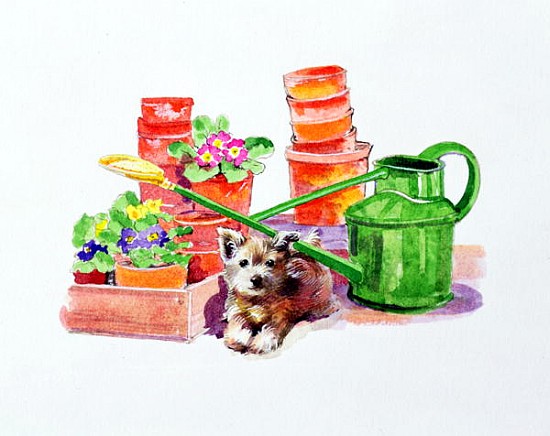 Terrier amongst Terracotta Pots  from Diane  Matthes