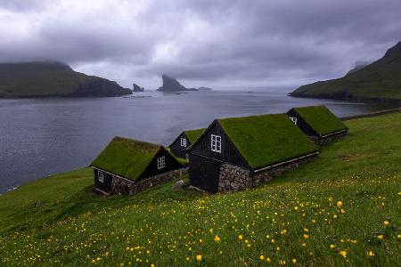 A Classic Moring in Faroe Islands