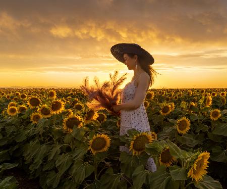 In Sunflower Field