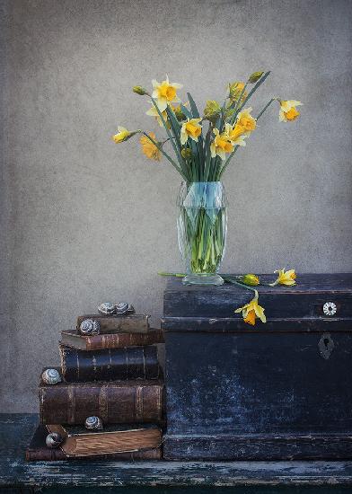 Spring feeling with daffodils...