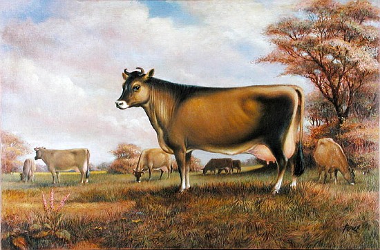 Jersey Cow (oil on canvas)  from Dudley  Pout