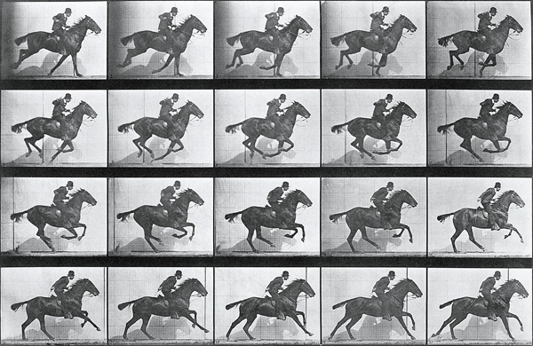 Galloping Horse, plate 628 from ''Animal Locomotion'', 1887 (b/w photo)  from Eadweard Muybridge