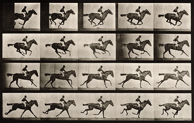 Jockey on a galloping horse, plate 627 from ''Animal Locomotion'', 1887 (b/w photo)  from Eadweard Muybridge