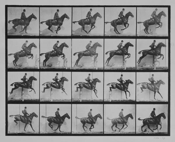 Man and horse jumping a fence, plate 640 from 'Animal Locomotion', 1887 (b/w photo) from Eadweard Muybridge