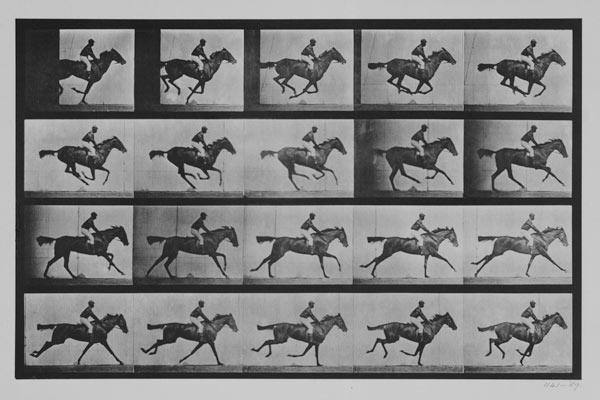 Jockey on a galloping horse, plate 627 from "Animal Locomotion"
