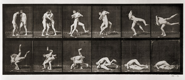 Two Men Wrestling, plate 347 from ''Animal Locomotion'', 1887 (b/w photo)  from Eadweard Muybridge