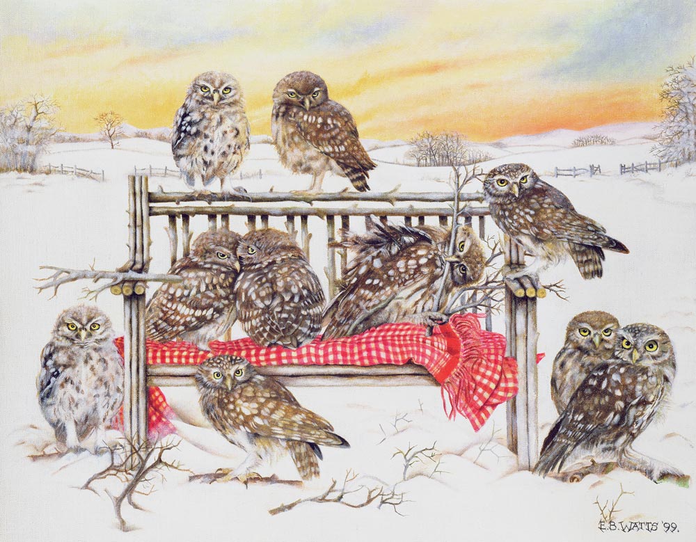 Little Owls on Twig Bench, 1999 (acrylic on canvas)  from E.B.  Watts