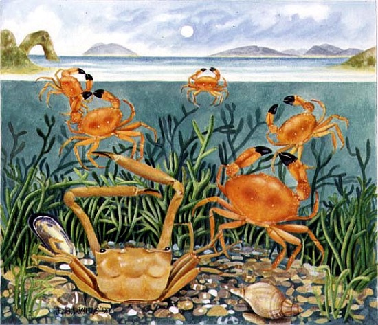 Crabs in the Ocean, 1997 (acrylic on paper)  from E.B.  Watts