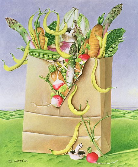 Paper Bag with Vegetables, 1992 (acrylic)  from E.B.  Watts