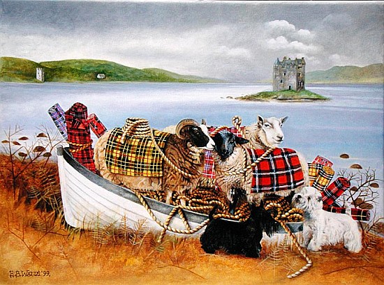 Sheep with Tartan, 1999 (acrylic on canvas)  from E.B.  Watts