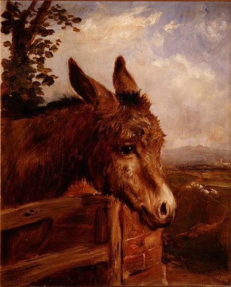 A Donkey at a Gate from Ebenezer Newman Downard