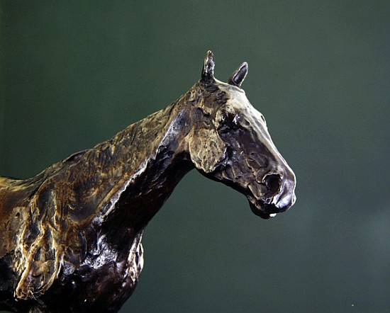 Horse''s Head (bronze) (detail of 335585) from Edgar Degas