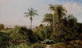 Cuban landscape. from Edmund Darch Lewis