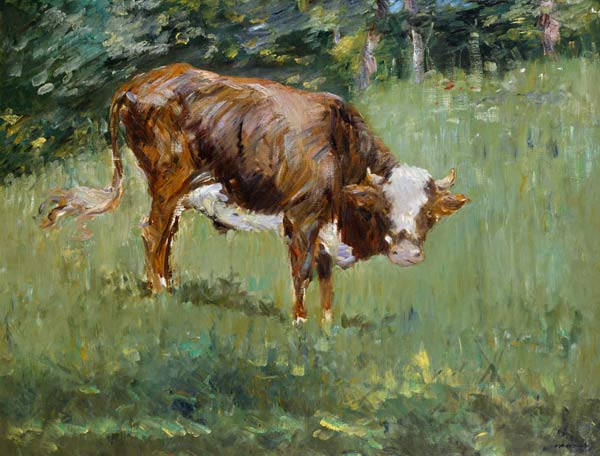Young Bull in a Meadow from Edouard Manet
