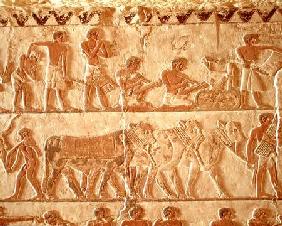 Painted relief depicting the posting of taxes and a group of cattle, Old Kingdom