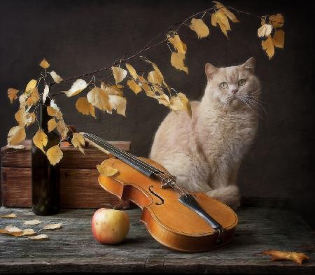 Autumn Melody for  Сat  and violin