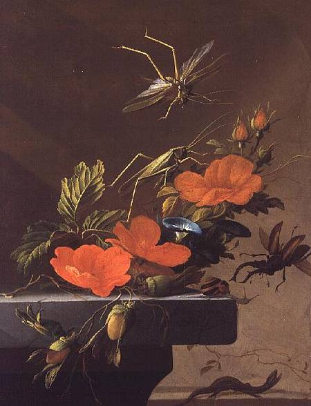 A Bouquet of Roses, Morning Glory and Hazelnuts with Grasshoppers, Stag Beetle and Lizard from Elias van den Broeck