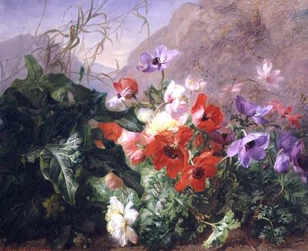 Still Life of Anemones in Undergrowth from Elise Puyroche-Wagner