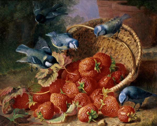 Still Life with Strawberries and Bluetits from Eloise Harriet Stannard