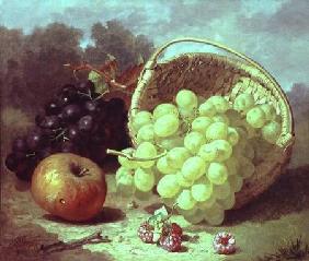 Still Life with Fruit