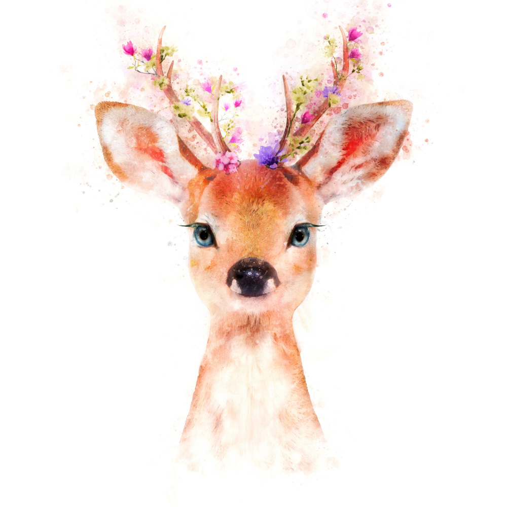Baby Deer from Emel Tunaboylu