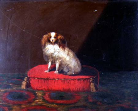 A King Charles Spaniel on a red cushion, Provincial School from English School